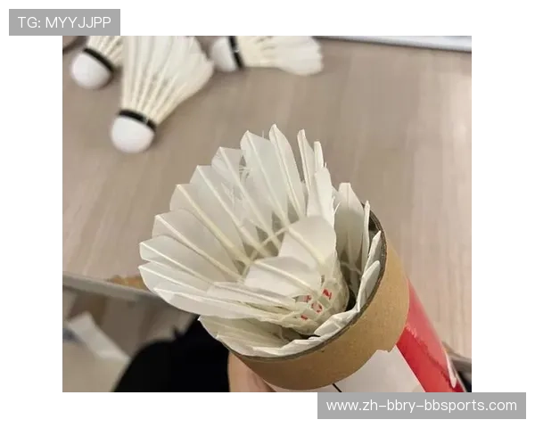 羽毛球起源简述