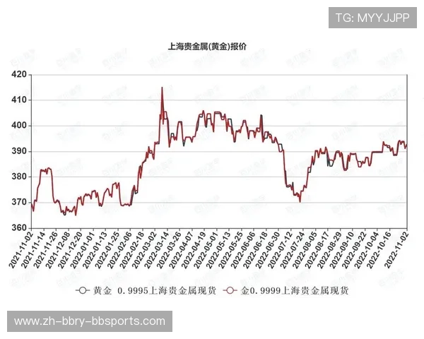 黄黑军团战力评估与德甲最新排名深度剖析及未来走势分析