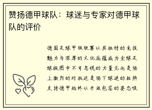 赞扬德甲球队：球迷与专家对德甲球队的评价