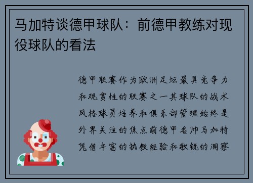 马加特谈德甲球队：前德甲教练对现役球队的看法